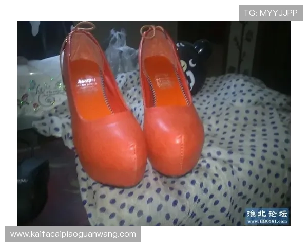 凯发网网站登录入口手机版官网官方正式版登录指南与操作流程详解 凯发网网站登录入口手机版官网官方正式版登录指南与操作流程详解